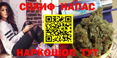 Альфа ПВП Нягань