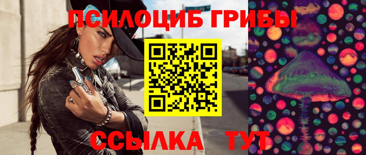 Новотроицк  Галлюциногенные грибы Psilocybe  купить  цена  Галлюциногенные грибы Psilocybe  Вход с VPN 